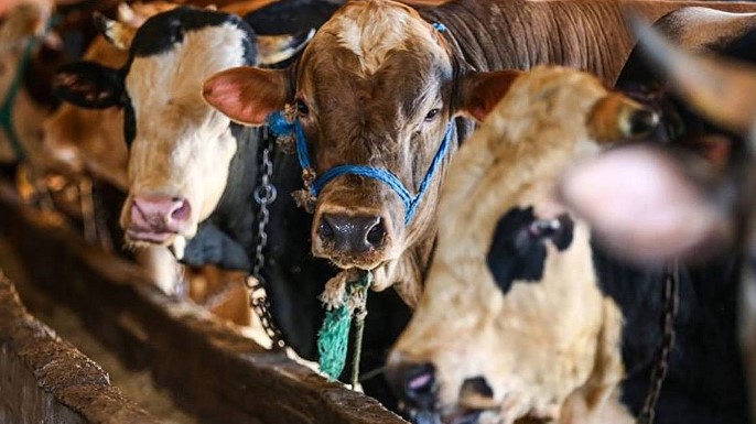 Kurban Bayramı ve Arefe Günü Marketlerin Çalışma Saatleri